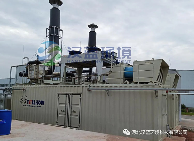 漢藍(lán)環(huán)境助力“井研大沼項目”脫硝設(shè)備順利驗收！