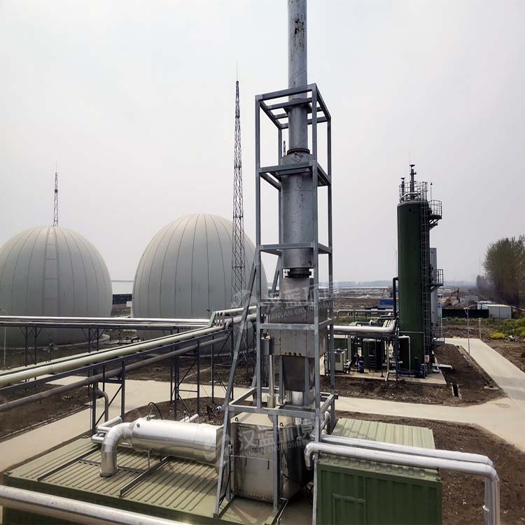 河南某沼氣項目生物質沼氣發電機組脫硝系統