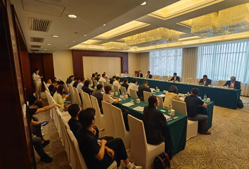 攜手綠色未來，共拓中亞商機—河北漢藍(lán)亮相中國-哈薩克斯坦經(jīng)貿(mào)交流對接會