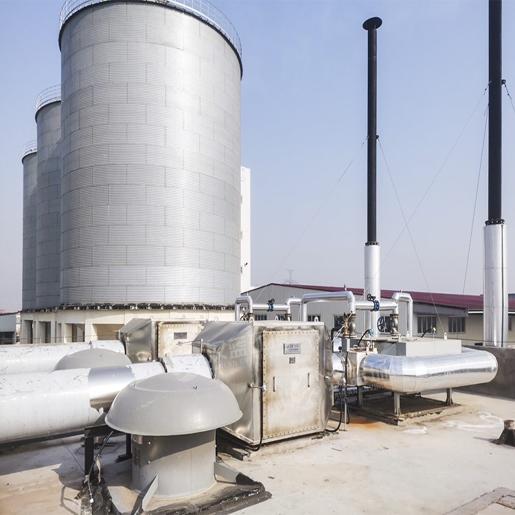 萬(wàn)純系列煙氣凈化設(shè)備-沼氣發(fā)電機(jī)組脫硝系統(tǒng)